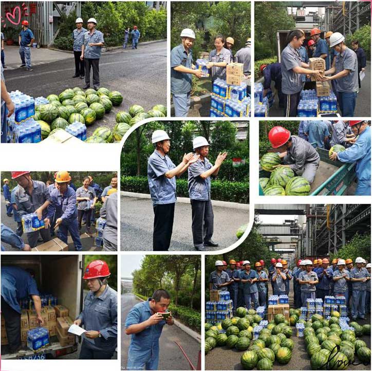 工廠發西瓜 工廠發西瓜